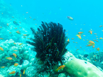 Similar image 21032922