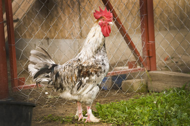 Similar image 21031751