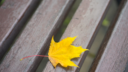 Similar image 21031752