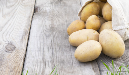 Similar image 21031754