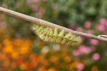 Similar image 21032527