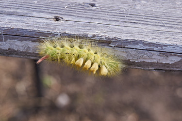 Similar image 21032528