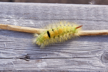 Similar image 21032530