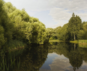 Similar image 21032519