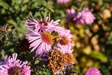 Similar image 21032536