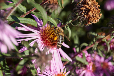 Similar image 21032537