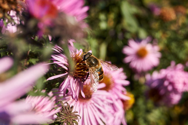 Similar image 21032538