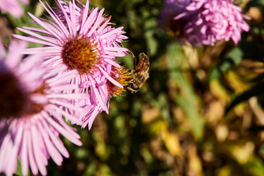 Similar image 21032539