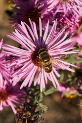 Similar image 21032541