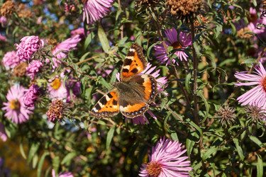 Similar image 21032542