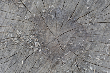 Similar image 21033060