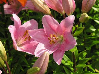 Similar image 21032844