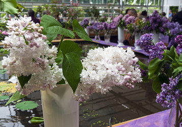 Similar image 21032853