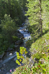 Similar image 21032861