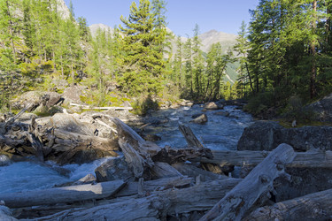 Similar image 21032865