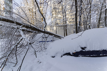 Similar image 21032869