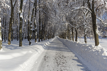 Similar image 21032871