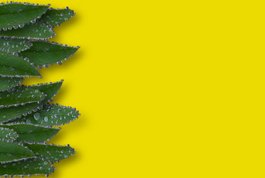 Similar image 21032836