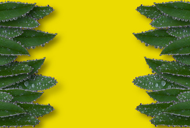 Similar image 21032837