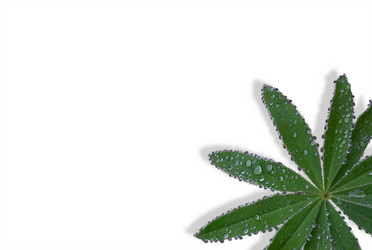 Similar image 21032854