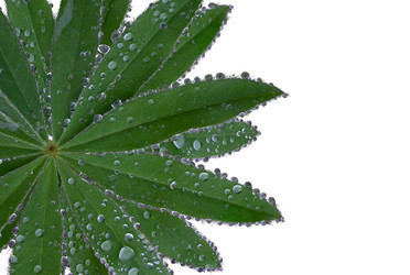 Similar image 21032856