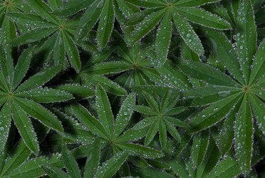 Similar image 21032857