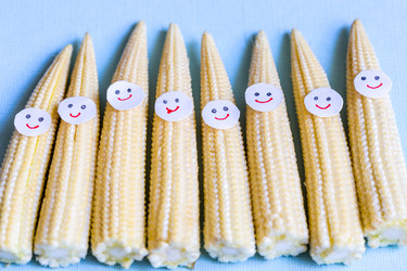 Similar image 21032927