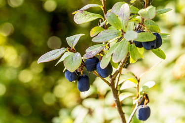 Similar image 21032935