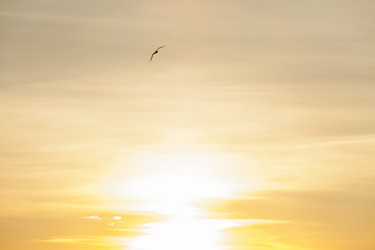 Similar image 21032936