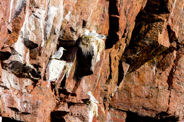 Similar image 21032949