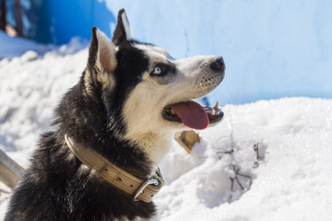 Similar image 21032954