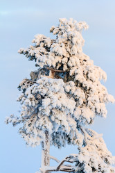 Similar image 21032957