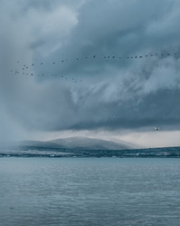 Similar image 21032805