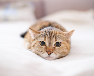 Similar image 21032808