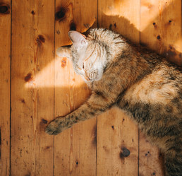 Similar image 21032841