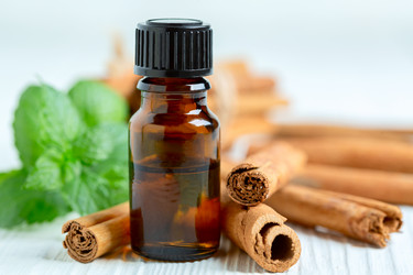 Similar image 21032822