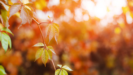 Similar image 21042177