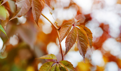 Similar image 21042178