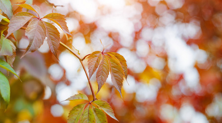 Similar image 21033738