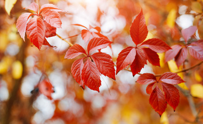 Similar image 21049607