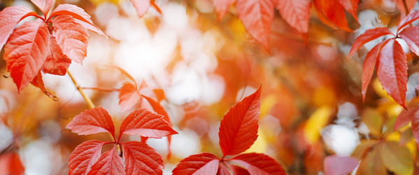 Similar image 21033739