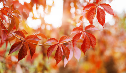 Similar image 21052923