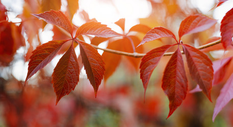 Similar image 21042179