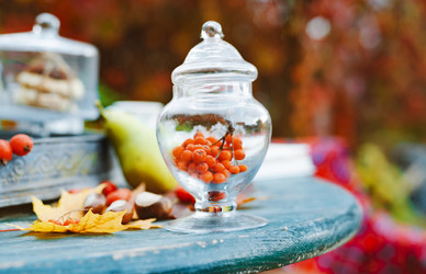 Similar image 21033742