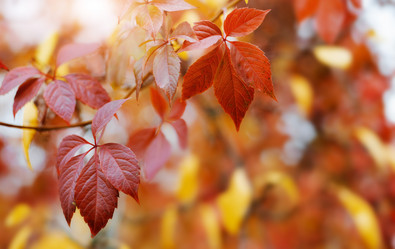 Similar image 21042180