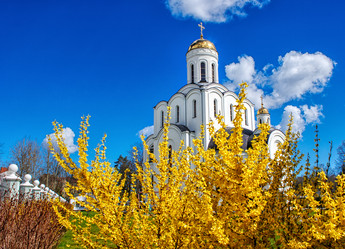 Similar image 21035104