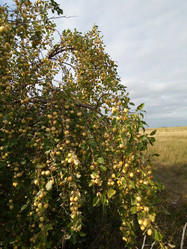 Similar image 21033943