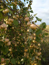 Similar image 21033944