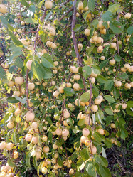 Similar image 21033945