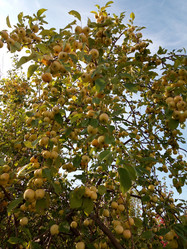 Similar image 21033946